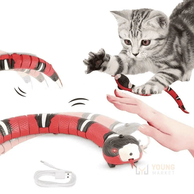 Cobra Fugitiva Para Divertir Gatos - SnakeToy