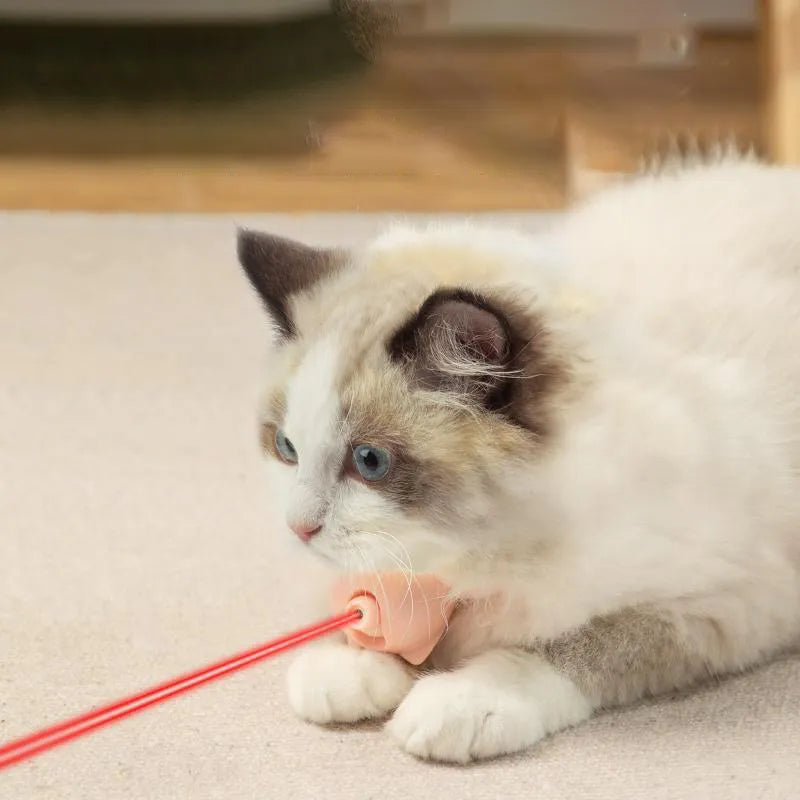 Coleira Laser Diversão e Alegria para Gatos