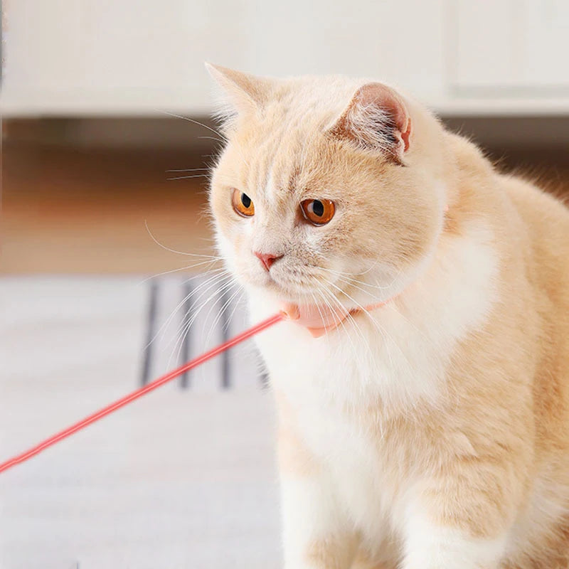 Coleira Laser Diversão e Alegria para Gatos